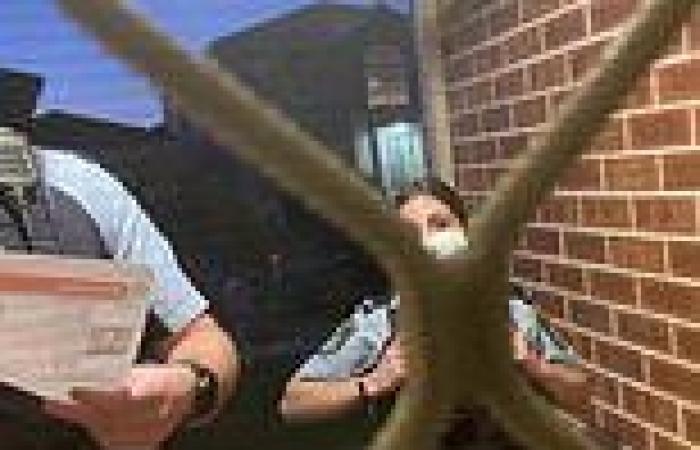 Police door knock south-west Sydney to ask if they know about any planned ...