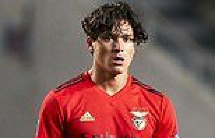 sport news Brighton keeping tabs on Benfica's £35m-rated striker Darwin Nunez