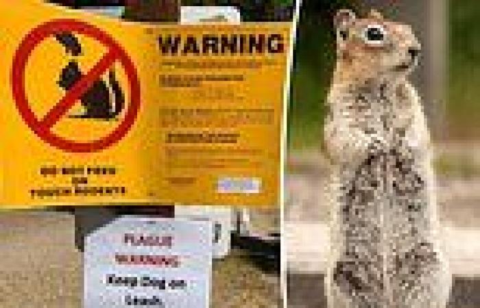 Beach on Lake Tahoe's south shore is closed down after chipmunks test positive ...