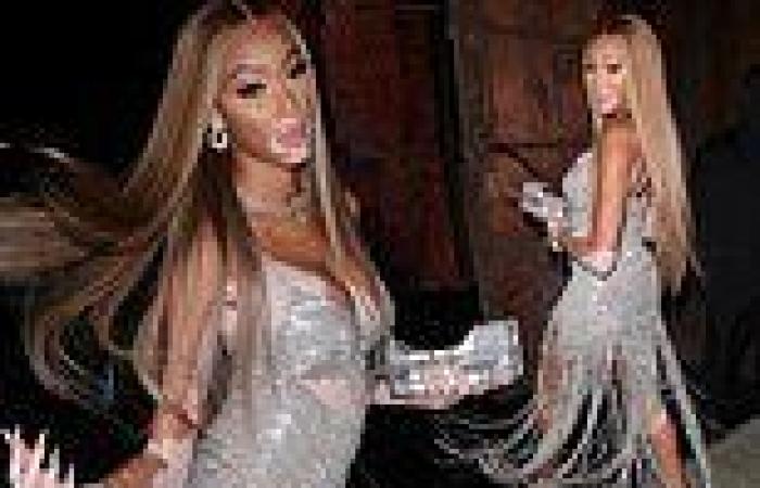 Winnie Harlow dazzles in a silver glittered gown for her 27th birthday dinner ...