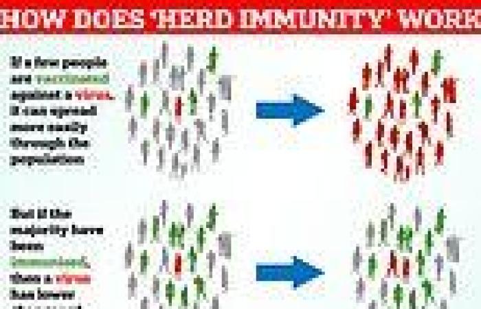 Why 'herd' immunity against Covid is looking close to impossible...