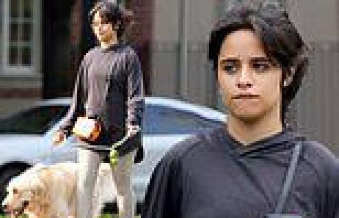 Camila Cabello and Shawn Mendes take their dog for another walk as the two ...