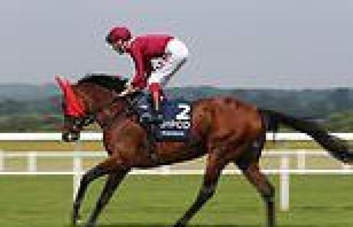 sport news 10 million reasons why Mishriff is the one to watch at the International Stakes ...