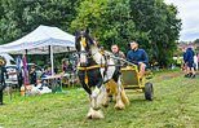 Pubs and shops shut for days as 'divisive' gypsy horse fair begins near Leeds