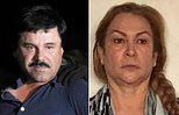 Woman, 60, only one to hold high-ranking spot in El Chapo's Sinaloa Cartel, ...