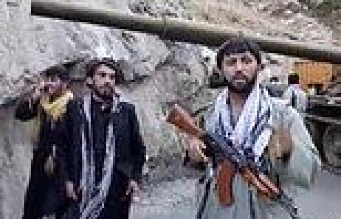Resistance fighters 'kill dozens of Taliban militants' trying to enter Panjshir ...