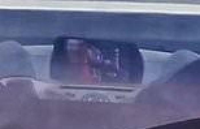 VIDEO: Motorist watches wrestling match on his mobile phone