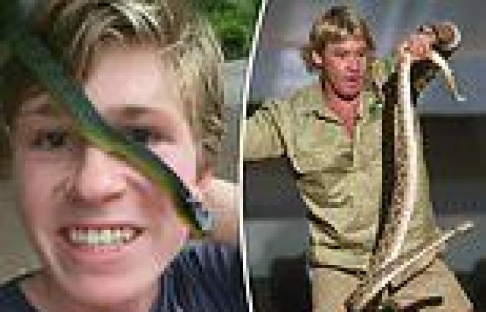 Robert Irwin lets a green tree snake coil around his face in creepy TikTok video