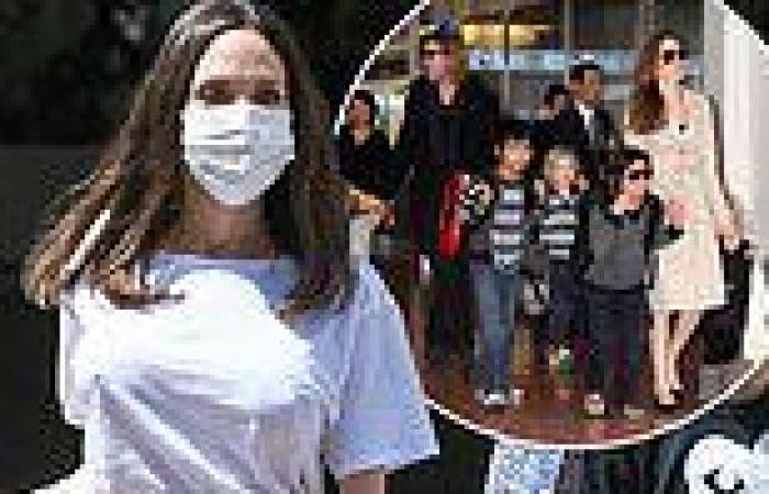 Angelina Jolie claims she feared for the safety of her 'whole family' during ...