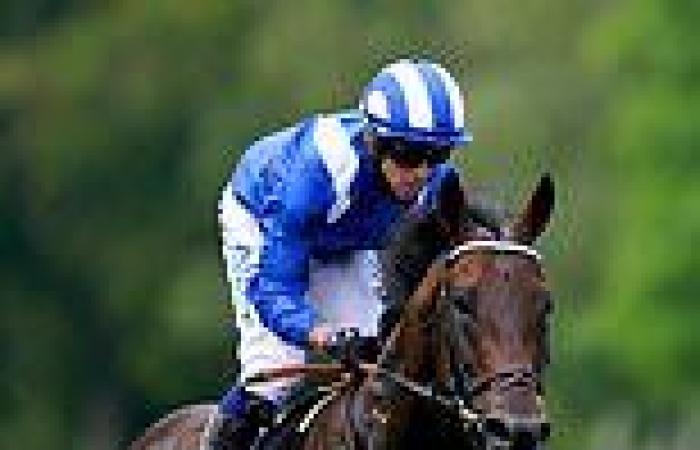sport news Baaeed storms to decisive victory in the Prix du Moulin  ParisLongchamp