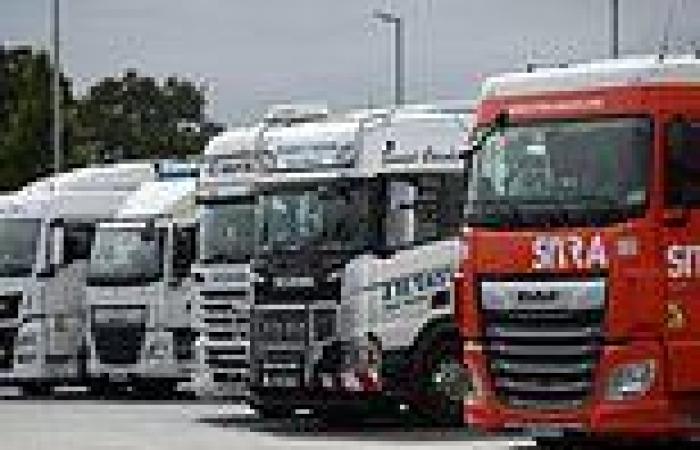 Government 'will announce new shorter HGV test' in bid to solve supply chain ...