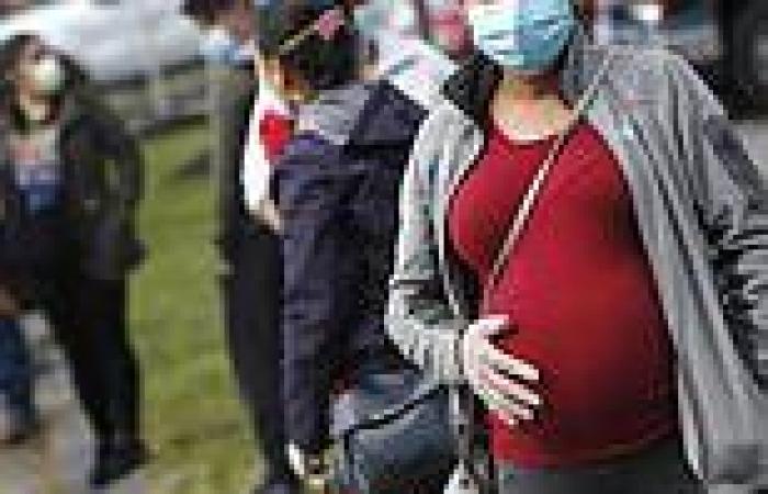 Covid vaccines do NOT increase the risk of miscarriage in pregnant women, two ...