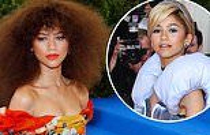 Zendaya reveals why she won't attend the 2021 Met Gala: 'My fans are going to ...