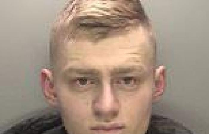 Homophobic thug, 20, who enlisted friends to 'torture' male lover, 17, blames ...