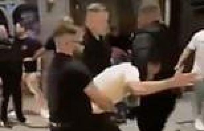 Yates bouncers brawl with yobs outside Essex pub before one doorman floors ...