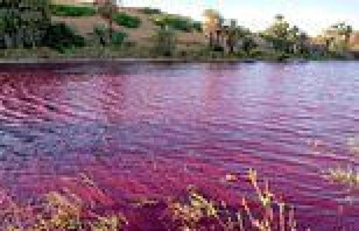 Dead Sea pool turns BLOOD RED where Bible says God sent angels to destroy Sodom ...
