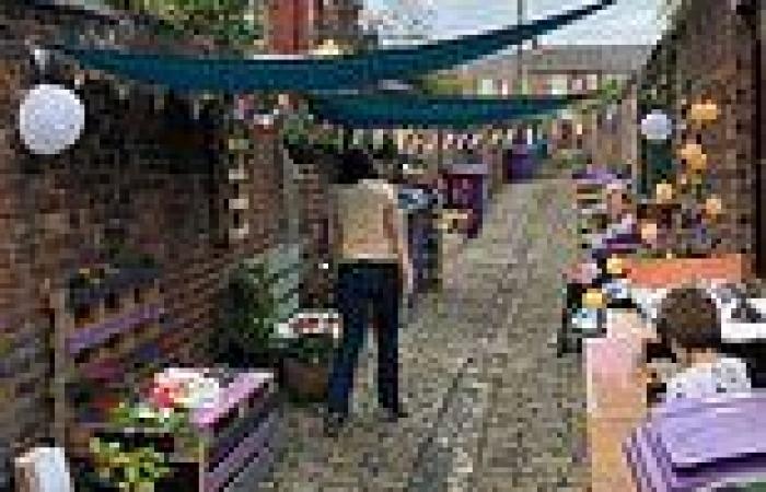 Neighbours unite to transform alleyway into garden with bunting, planters and a ...