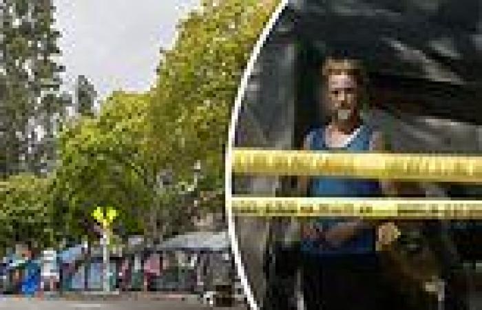 Veteran is stabbed to death in LA homeless encampment: Second killing in six ...