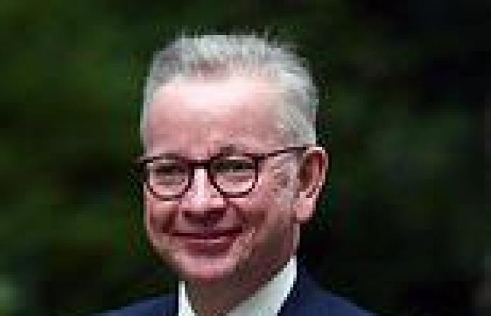 Michael Gove shelved planning shake-up just hours after being named as new ...