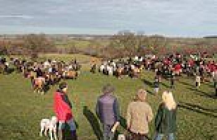 Girl, two, 'dies in front of her family after falling off pony at The Bedale ...