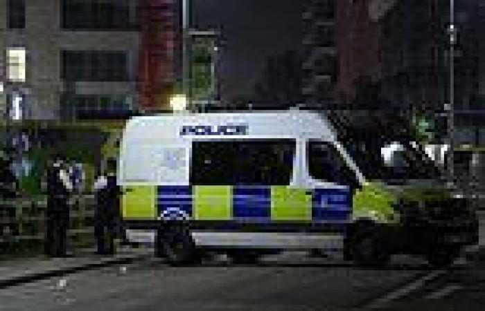Woman's body found in Greenwich park near community centre as man arrested on ...