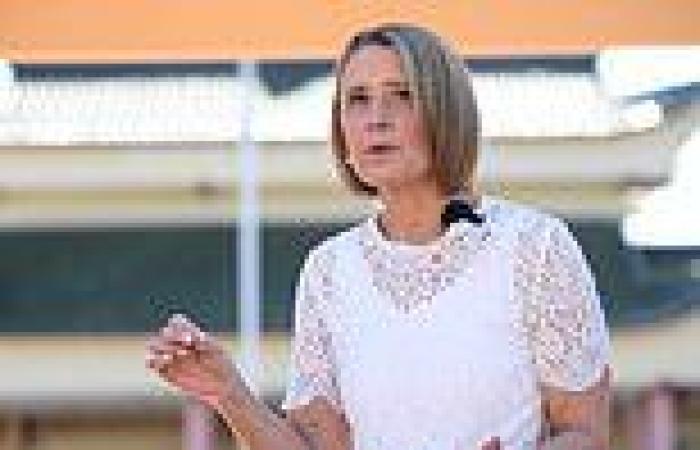 Labor senator Kristina Keneally confirms she will buy a house in Fowler ...