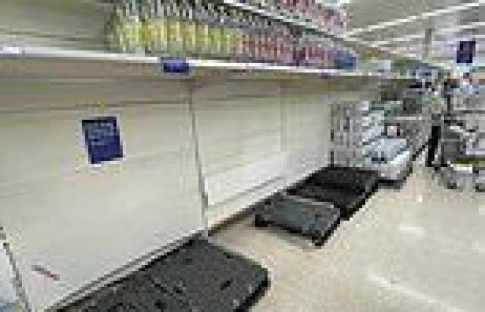 Fresh meat supply will be slashed within days as energy crisis hits supply ...