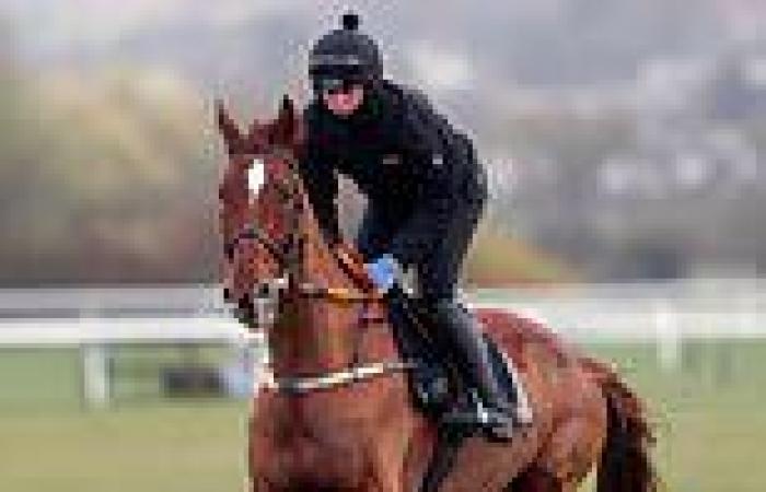 sport news Trainer Willie Mullins receives a massive blow as Monkfish is sidelined for the ...