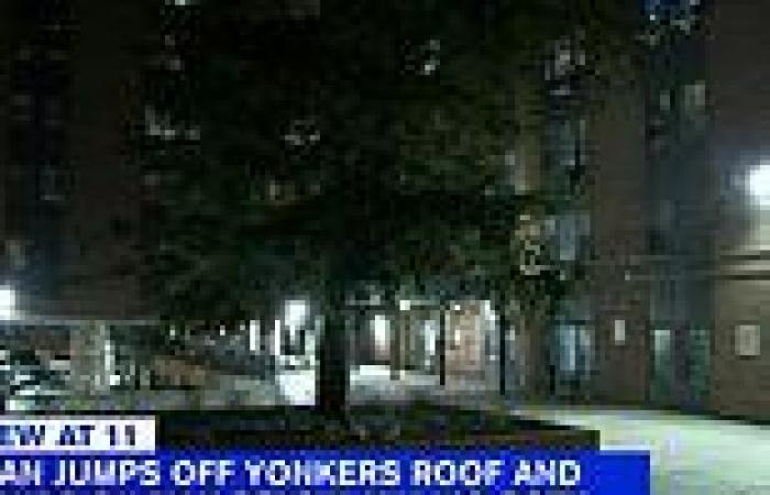 Two die after suicidal man, 25, jumped off Yonkers building landing 12 stories ...