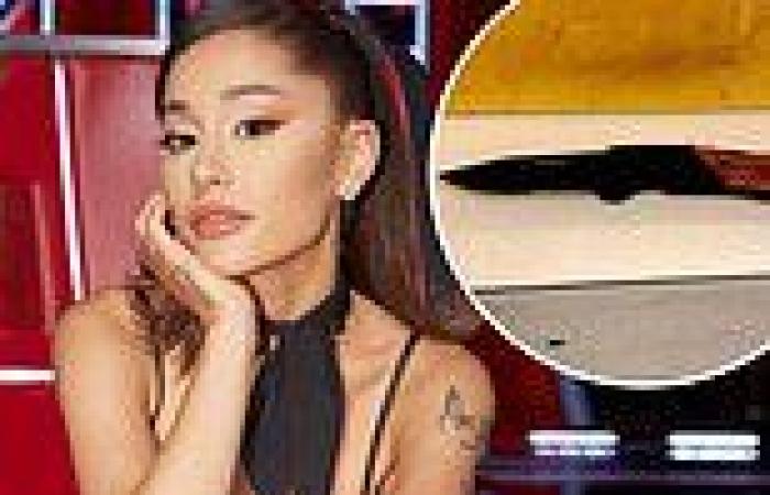 Ariana Grande requests restraining order against stalker who 'threatened to ...