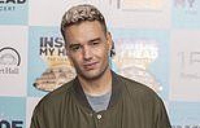 Liam Payne reveals talks for a One Direction reunion will happen 'sooner rather ...