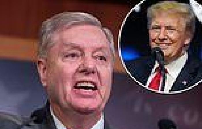 Lindsey Graham told Trump 'you f***ed your presidency up'