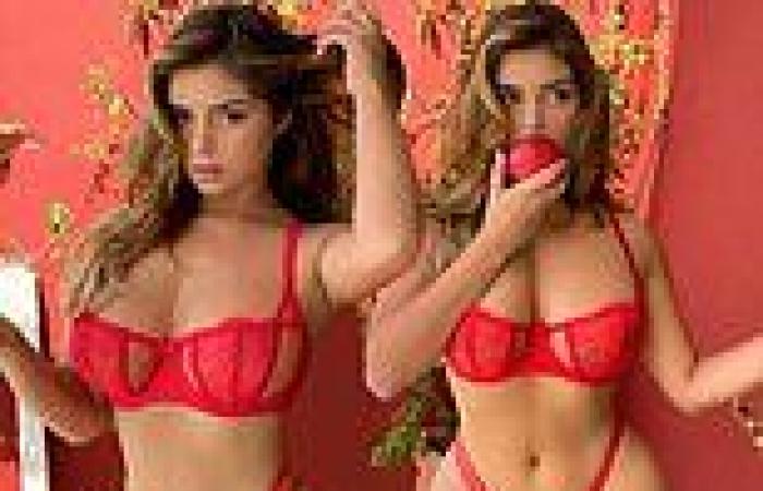 Demi Rose showcases her enviable hourglass figure in busty red underwear during ...