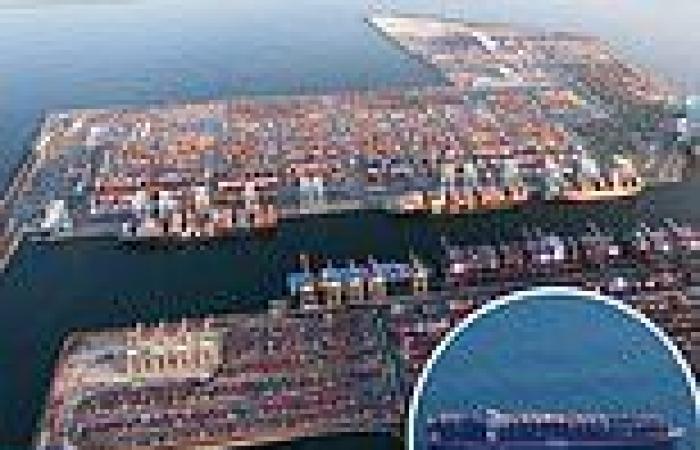 Massive backlog of 62 container ships at LA port due to 'Americans' buying ...