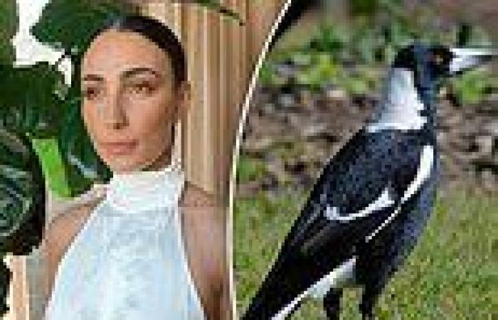 Tayla Damir reveals she's so scared to leave her house due to magpie swooping ...