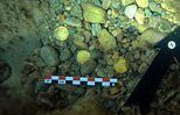 Amateur freedivers discover 53 perfectly-preserved Roman gold coins off the ...