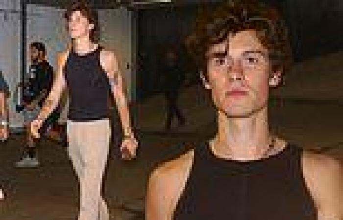 Shawn Mendes keeps it casual in black tank top and tan trousers after ...