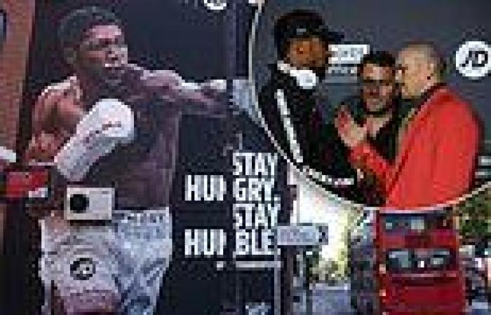 sport news Anthony Joshua 'honoured' as stunning 40-foot mural is unveiled on Tottenham ...