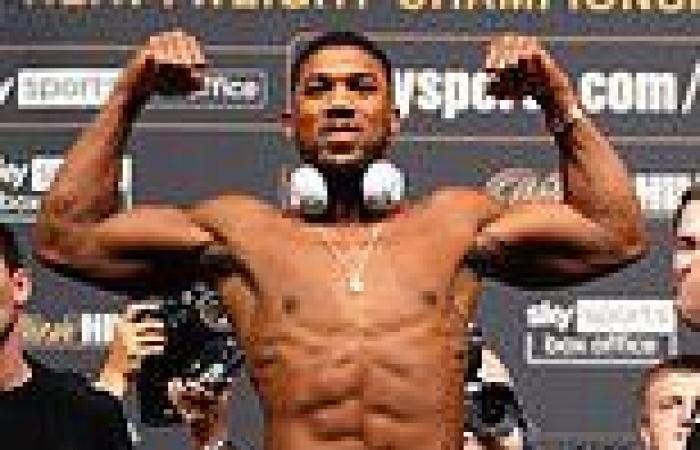 sport news JOHNNY NELSON: Oleksandr Usyk is a good technical boxer and Anthony Joshua must ...