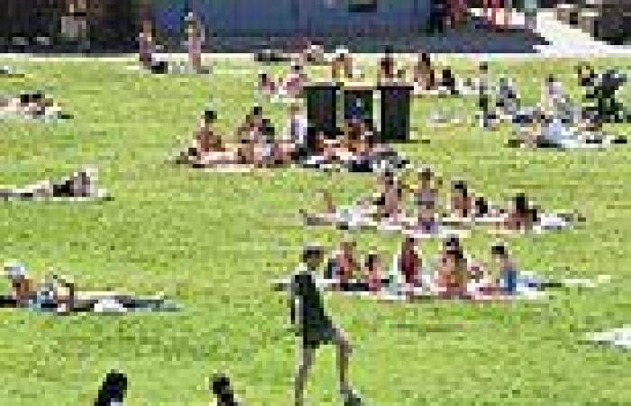 Covid Freedom Day NSW: Boozy picnics welcome with alcohol restrictions on 18 ...