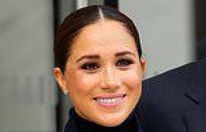 How the Palace bent over backwards to help Meghan adjust to royal life: Author ...