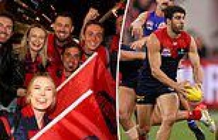 AFL Grand Final attracts the game's highest ratings since 2016 with Melbourne ...