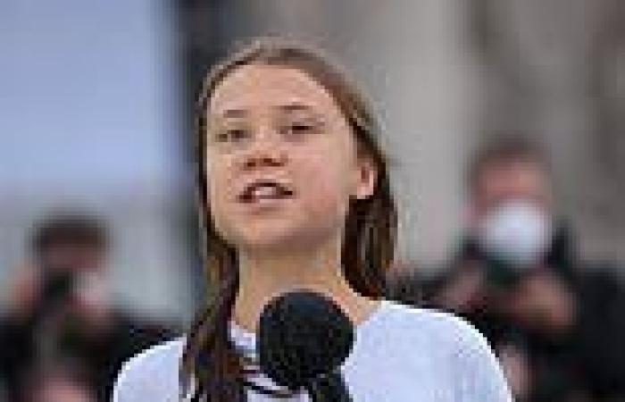 Teenage climate activist Greta Thunberg takes swipe a New Zealand Prime ...