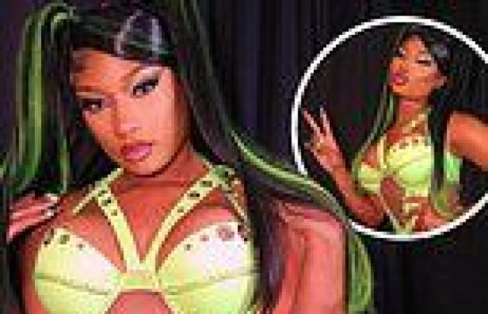 Megan Thee Stallion shares images in a harness bodysuit and pigtails following ...