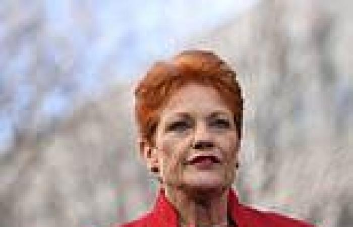 Pauline Hanson's Covid heartbreak: Queensland border policy has kept her and ...