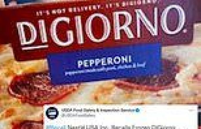 Nestlé recalls 14 tons of frozen DiGiorno pizzas after finding it contains ...