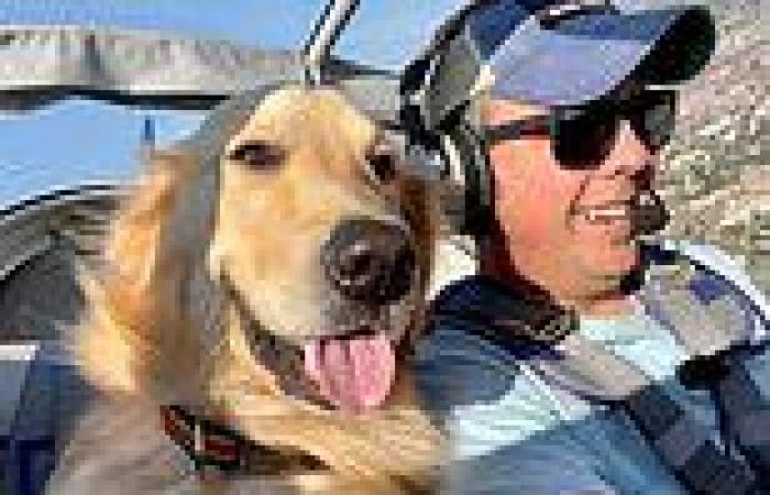 Golden retrievers Gus and Dora love flying in their owner's small plane 