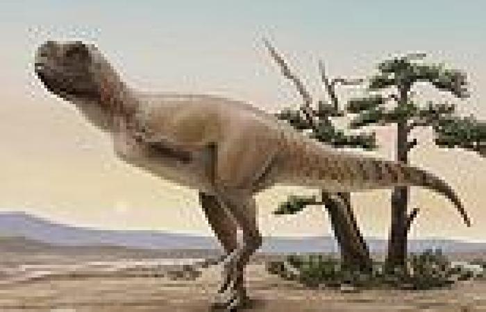 Dinosaurs: 16ft long beast roamed Brazil 70 million years ago