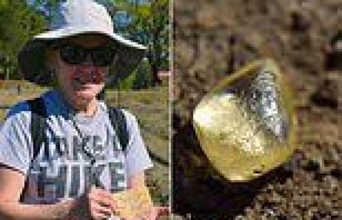 Amateur prospector finds huge 4.38 carat yellow diamond worth $15.3k at an ...