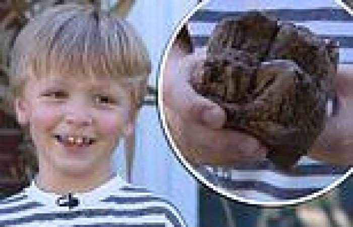 Boy, 6, finds mastodon tooth while hiking at Michigan's Dinosaur Hill Nature ...